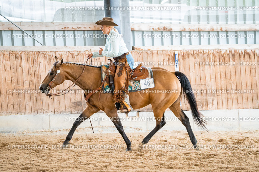 DSC00413 | Pferdegrafie