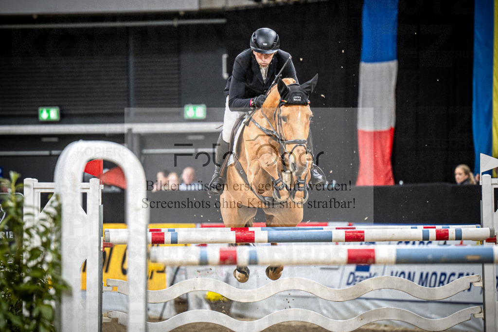 DOS_3331 | Entdecke hochwertige Reitturnierfotos von Foto Oger. Professionell, emotional und authentisch – jetzt Lieblingsmomente im Shop bestellen.Deutschlandweite Turnierfotografie. - Realisiert mit Pictrs.com