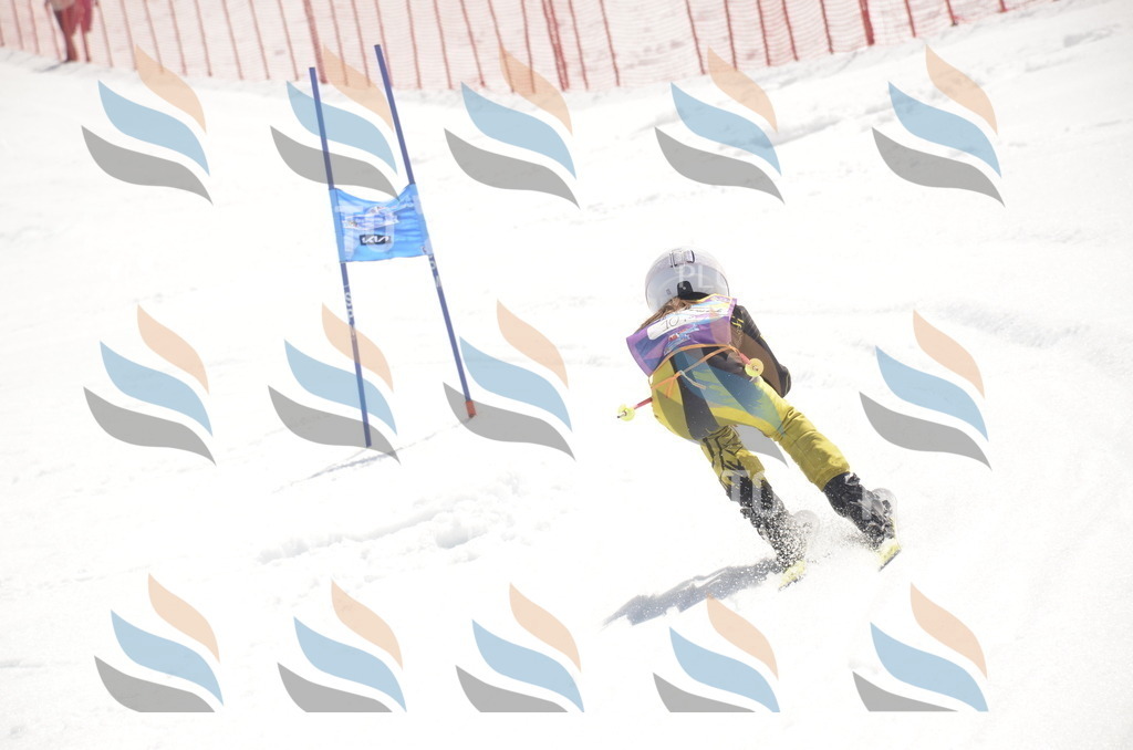 _ELE9442 | holidayphoto