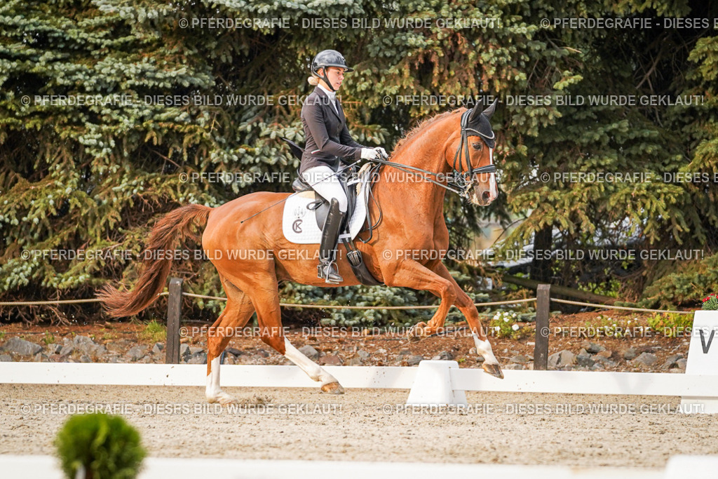 DSC09430 | Pferdegrafie