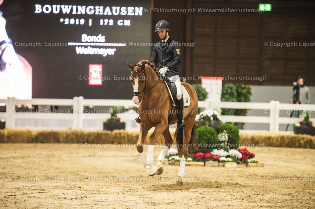 20240302_Hengstvorstellung_Marbach_TOMsPiC_0545 | equistock