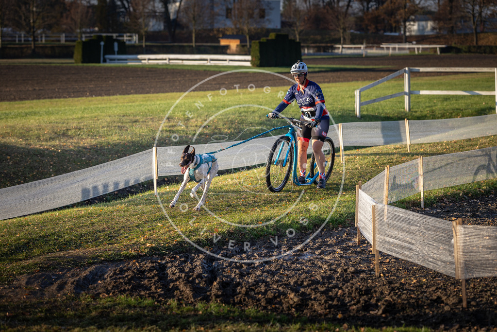 CaniXpix_DV3A0571 | Hundefotografie, Tierfotograf, Pfotenfotografie, Fotoshooting Hund, Hunde Portrait, Hundesport, Hundeportraits, Heideshooting, Hunde, Sportfotograf, Hundefotograf, Turnierhundsport, THS,  - Realisiert mit Pictrs.com