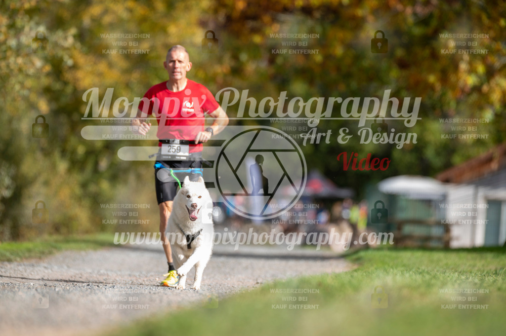 TSB_2023_E2_Canicross-75 | mompixphotography