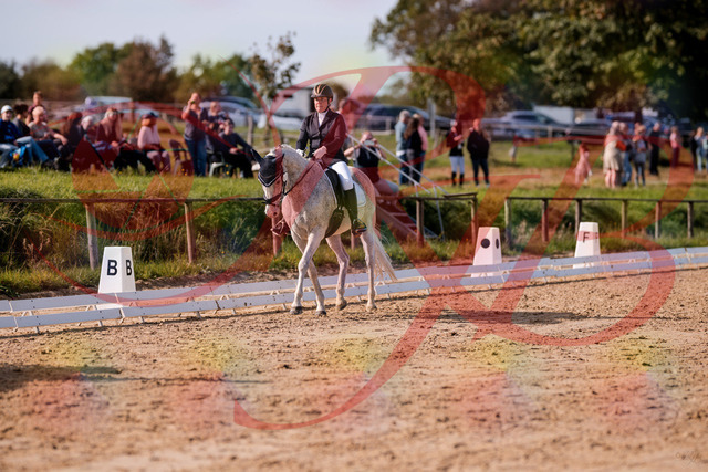 2026_10_03_Siefer-Hof_123009_Z81_29005041 | Professionelle Reitsport-, Turnier- und Eventfotografie von Robert Broda. Galerien mit ausgewählten und bearbeiteten Bildern direkt online ansehen und bestellen.