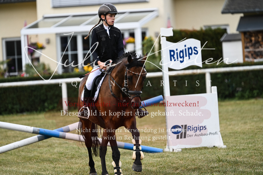 DSC_5453 | Pferde- und Turnierfotografie in Westsachsen. Pferdeportraits, Auftragszeichnungen und intuitive Kunst.