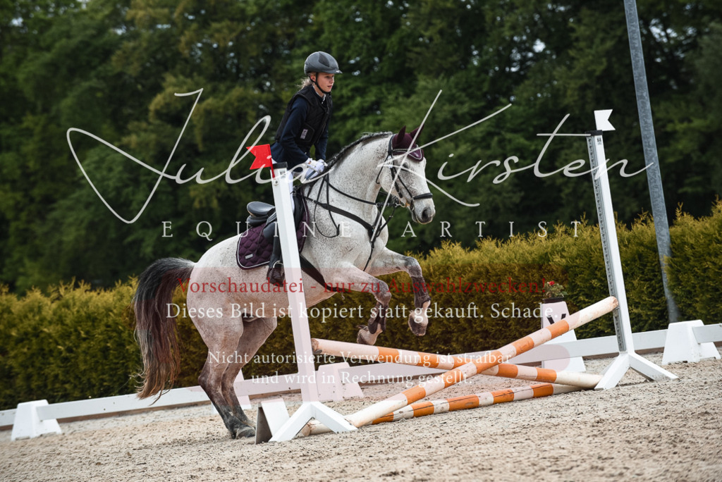20230518_JK-Röhrsdorf-10-569 | Pferde- und Turnierfotografie in Westsachsen. Pferdeportraits, Auftragszeichnungen und intuitive Kunst.