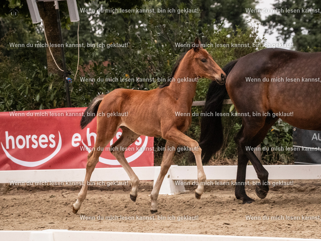 A10I6397 | photographylinaismer - Realisiert mit Pictrs.com