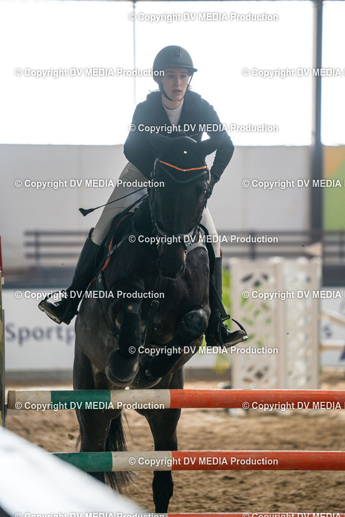 Kranichstein Tag 2-362 | dv-media-shop - Realisiert mit Pictrs.com