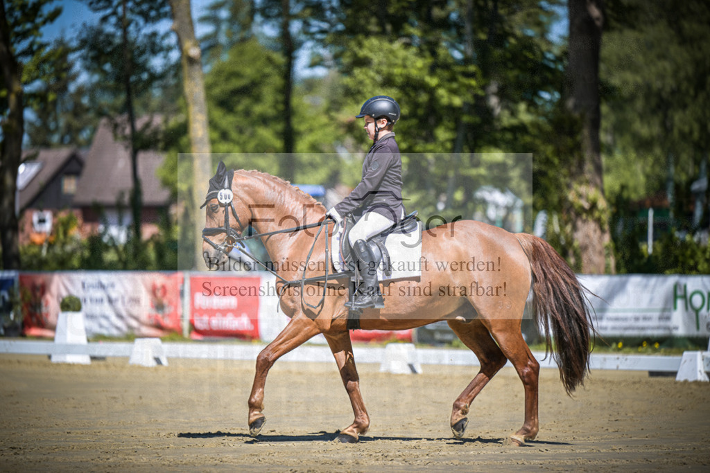DOS_8001 | Entdecke hochwertige Reitturnierfotos von Foto Oger. Professionell, emotional und authentisch – jetzt Lieblingsmomente im Shop bestellen.Deutschlandweite Turnierfotografie. - Realisiert mit Pictrs.com