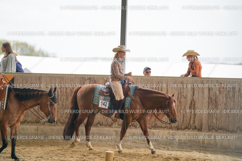 DSC03260 | Pferdegrafie