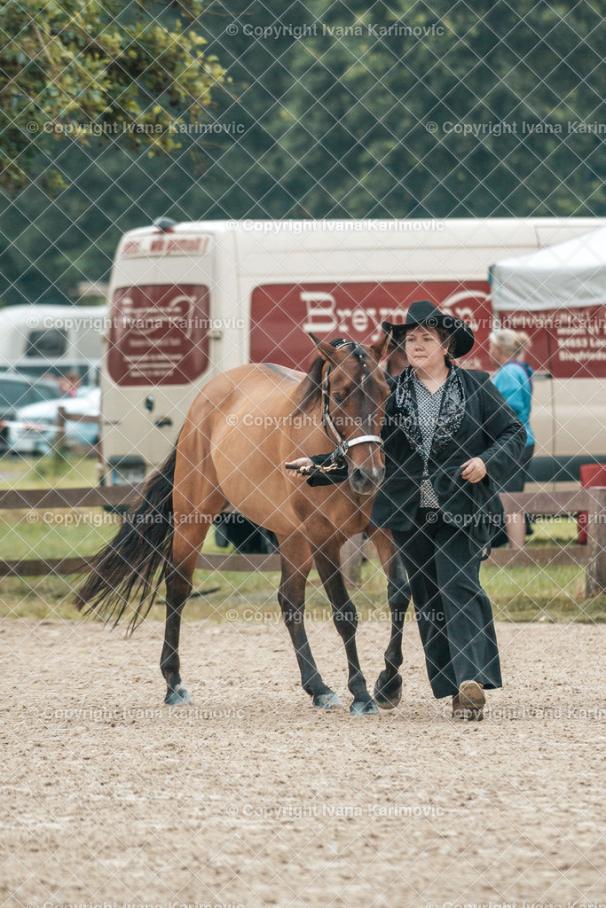 DSC08500 | ikphotography - Realisiert mit Pictrs.com