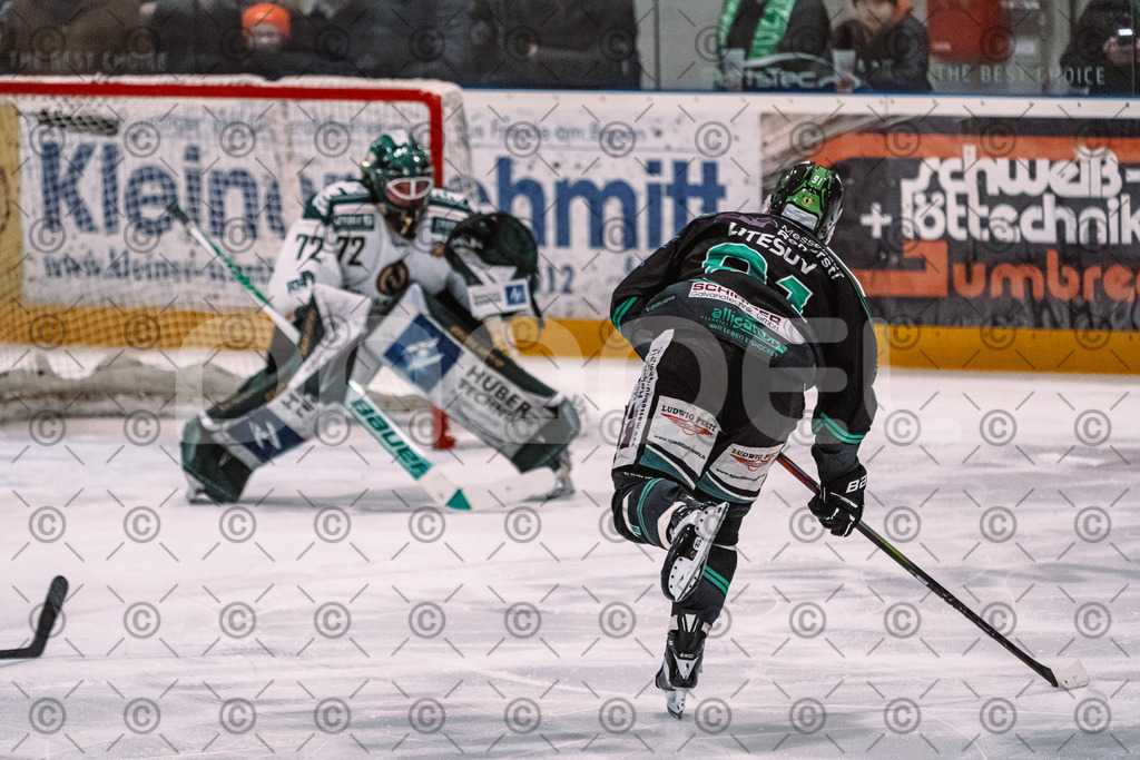 Alligators_vs_Erding_01_02_2026-61 | Höchstadt Alligators Fotogalerie: Eishockey-Action aus Franken. Professionelle Spielfotos, Portraits & Stadionbilder zum Download. Jetzt entdecken! - Realisiert mit Pictrs.com