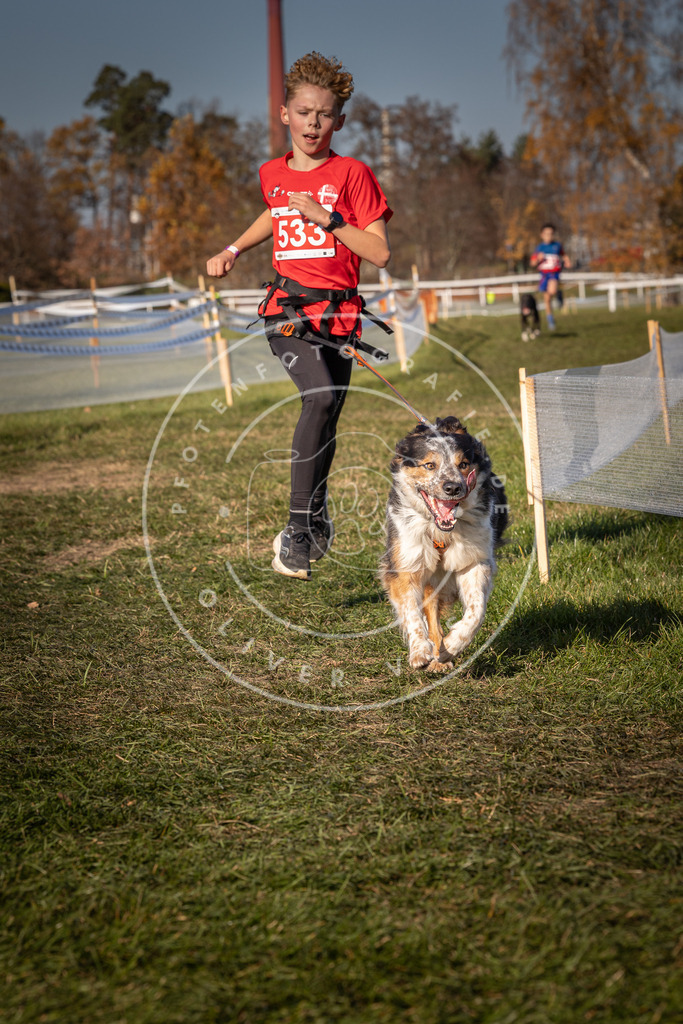 CaniXpix_0L8A7409 | Hundefotografie, Tierfotograf, Pfotenfotografie, Fotoshooting Hund, Hunde Portrait, Hundesport, Hundeportraits, Heideshooting, Hunde, Sportfotograf, Hundefotograf, Turnierhundsport, THS,  - Realisiert mit Pictrs.com