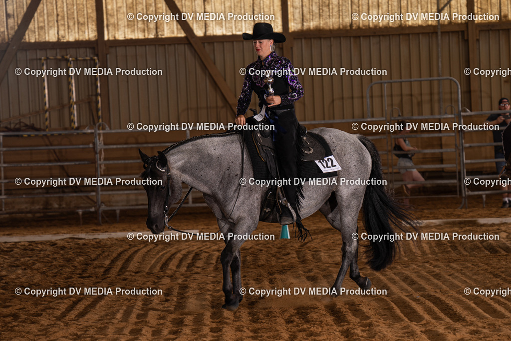 NID00509 | dv-media-shop - Realisiert mit Pictrs.com