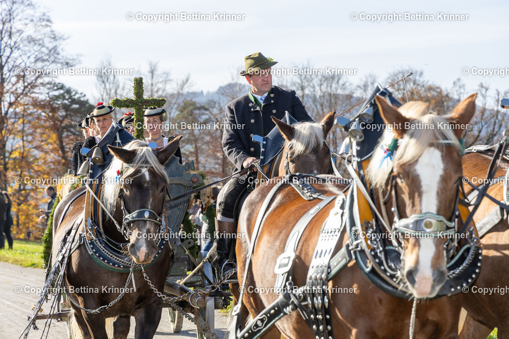 LBT24-1246 | foto-bettina-krinner - Realisiert mit Pictrs.com