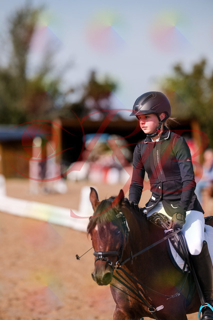 2026_10_03_Siefer-Hof_120654_Z81_08232964 | Professionelle Reitsport-, Turnier- und Eventfotografie von Robert Broda. Galerien mit ausgewählten und bearbeiteten Bildern direkt online ansehen und bestellen.