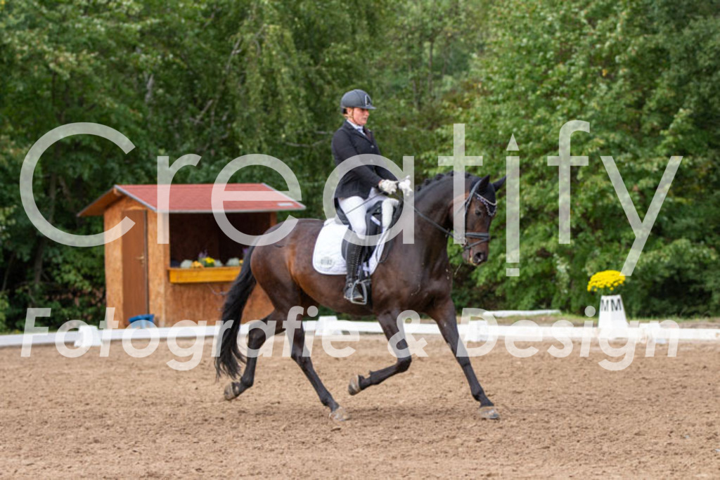 IMG_4904 | Creatify Fotografie