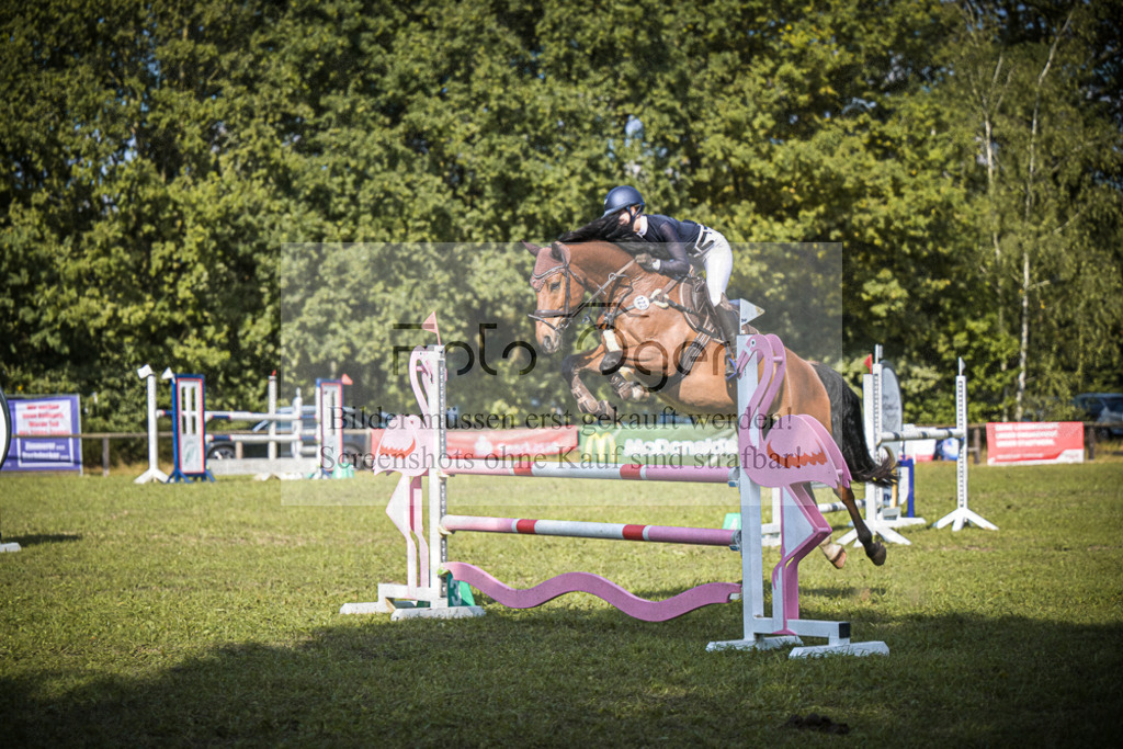 DOS_0389 | Entdecke hochwertige Reitturnierfotos von Foto Oger. Professionell, emotional und authentisch – jetzt Lieblingsmomente im Shop bestellen.Deutschlandweite Turnierfotografie. - Realisiert mit Pictrs.com