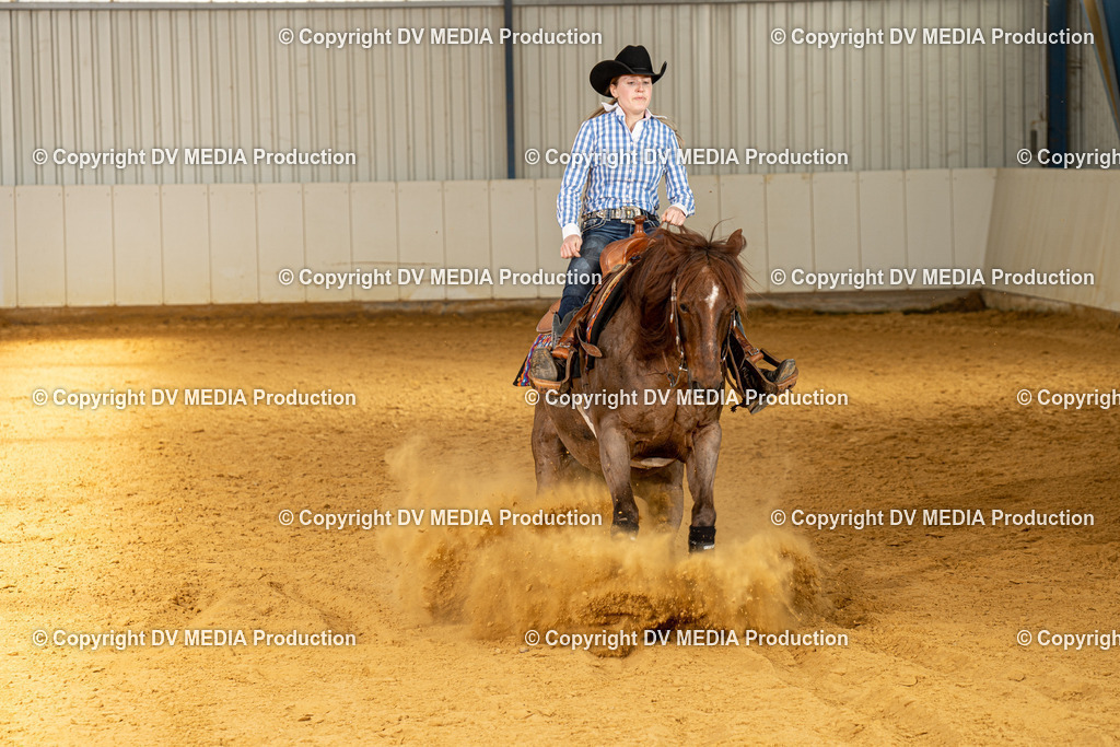 MIT00286 | dv-media-shop - Realisiert mit Pictrs.com