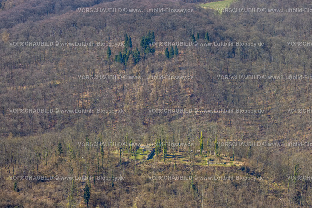 Arnsberg220302068 | Luftbild, Rüdenburg im Waldgebiet in Arnsberg, Sauerland, Nordrhein-Westfalen, Deutschland