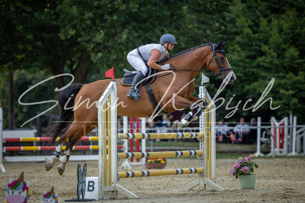 20260704-_3LI1838 | Tierfotografie Pferde, Hunde, Katzen, Haustiere.
Turnierfotografie Reitturniere, Reiten, Springreiten, Dressur in Hanau, dem Main-Kinzig-Kreis und dem Rhein-Main- Gebiet um Frankfurt