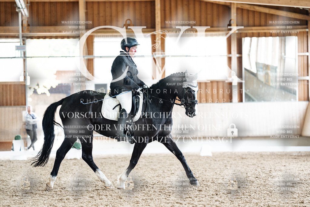 CK901171 | Turnierfotografie Pferdefotografie Trier Rheinland-Pfalz Pferdesport Reitsport Tierfotografie Sportfotografie Pferdevideo Pferdevideografie Equestrianvideography equestrianphotography  - Realisiert mit Pictrs.com