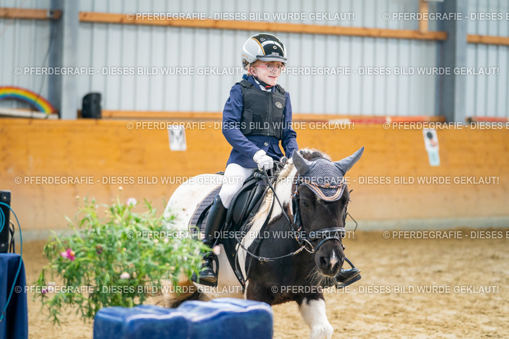 DSC01308 | Pferdegrafie