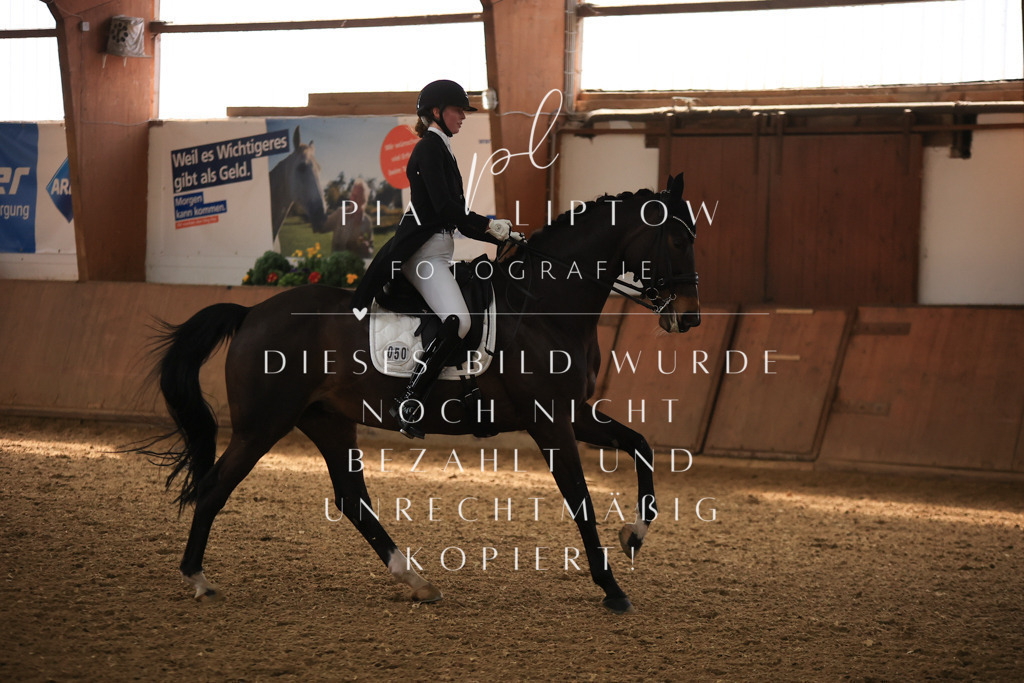 IMGT4353 | pl-fotografie