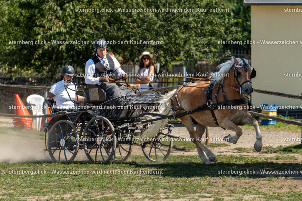 2026-08-09_12-27-17_WBO_Pulsnitz | sternberg.click - Realisiert mit Pictrs.com