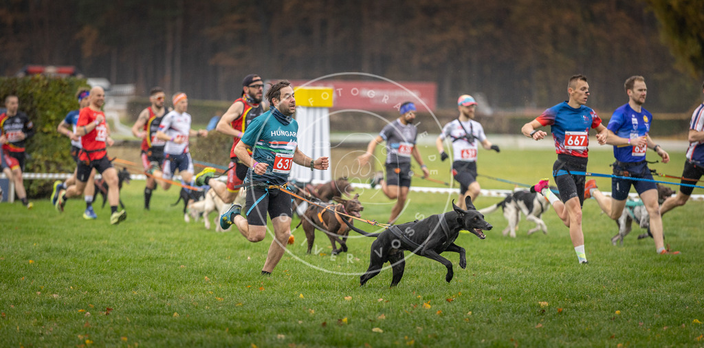 CaniXpix_DV3A9482 | Hundefotografie, Tierfotograf, Pfotenfotografie, Fotoshooting Hund, Hunde Portrait, Hundesport, Hundeportraits, Heideshooting, Hunde, Sportfotograf, Hundefotograf, Turnierhundsport, THS,  - Realisiert mit Pictrs.com