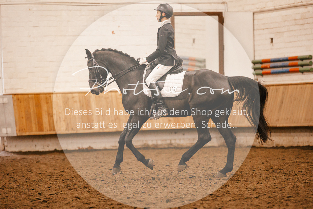 3I6A3109 | Stimmungsvolle Portraits und Reitsportfotografie im Ruhrgebiet und im Münsterland.

Pferdefotografie, Hundefotografie, Tierfotografie, Reportagen, Portraits von Tier und Mensch, Turnierfotografie in Bochum, Recklinghausen, Marl, Haltern am See, Dülmen.. - Realisiert mit Pictrs.com