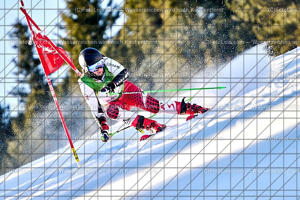 _ALP3734_FIS-Masters-GS-II_Glungezer_Bergner Doris | FIS-MASTERS-WorldCup am Glungezer, GiantSlalom-II, So 18. Jänner 2026.