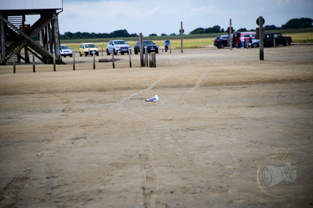 _DSC2145 | Shop für Prints Landschaftsfotografie Sächsische Schweiz Naturfotografie in Thüringen Fotos vom Findlingspark Nochten Kloster Sankt Marienstern Bilder Festung Königstein PanoramaRhododendronpark Kromlau FotogalerSchleswig-Holstein Küstenlandschaften