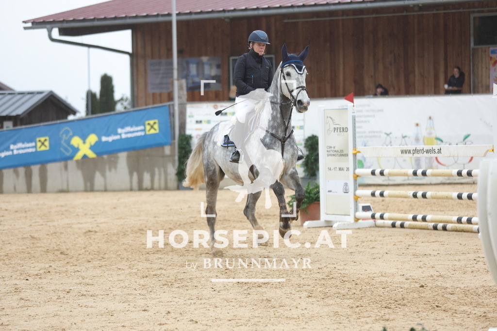 0P6A1257 | Willkommen bei Brunnmayr - Design & Fotografie – Ihrem Spezialisten für Reitturniere und Pferdeveranstaltungen in Oberösterreich, Salzburg und Bayern! Seit über 17 Jahren sind wir leidenschaftlich dabei.