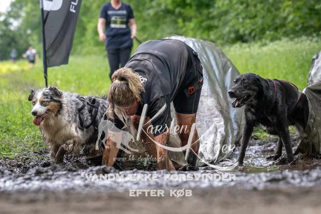 1245_ZZ93319 | kk-dogfotos