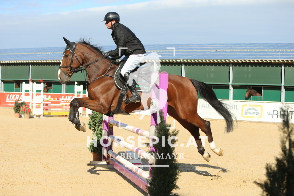 DL2Q4940 | Willkommen bei Brunnmayr - Design & Fotografie – Ihrem Spezialisten für Reitturniere und Pferdeveranstaltungen in Oberösterreich, Salzburg und Bayern! Seit über 17 Jahren sind wir leidenschaftlich dabei.