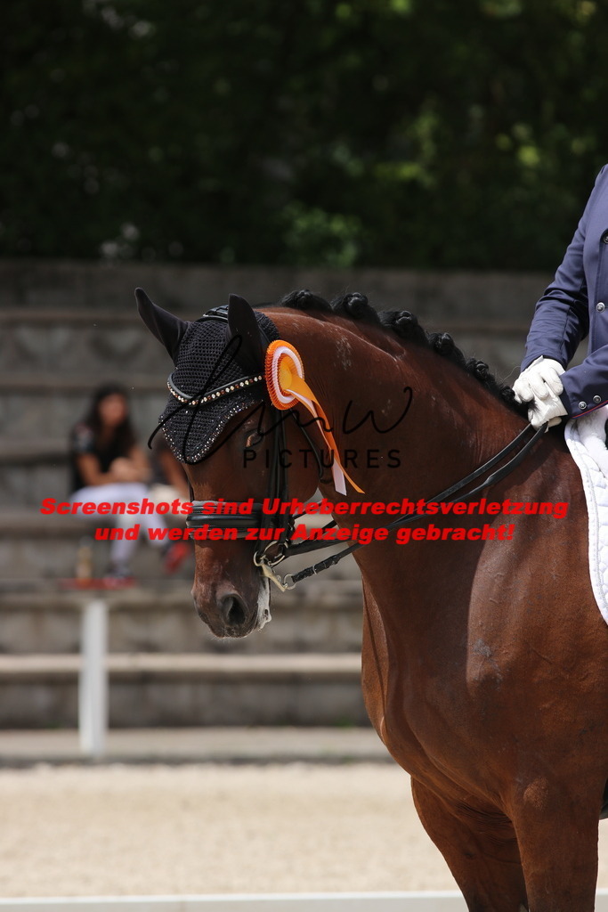 IMG_2005 | lmwpictures - Realisiert mit Pictrs.com