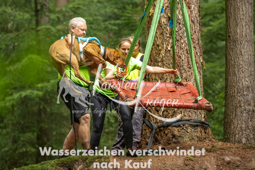 1329_ZZ93026-Bearbeitet | kk-dogfotos