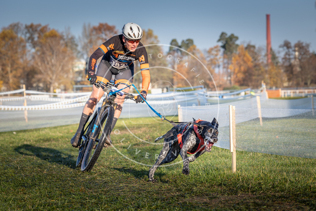 CaniXpix_0L8A3758 | Hundefotografie, Tierfotograf, Pfotenfotografie, Fotoshooting Hund, Hunde Portrait, Hundesport, Hundeportraits, Heideshooting, Hunde, Sportfotograf, Hundefotograf, Turnierhundsport, THS,  - Realisiert mit Pictrs.com