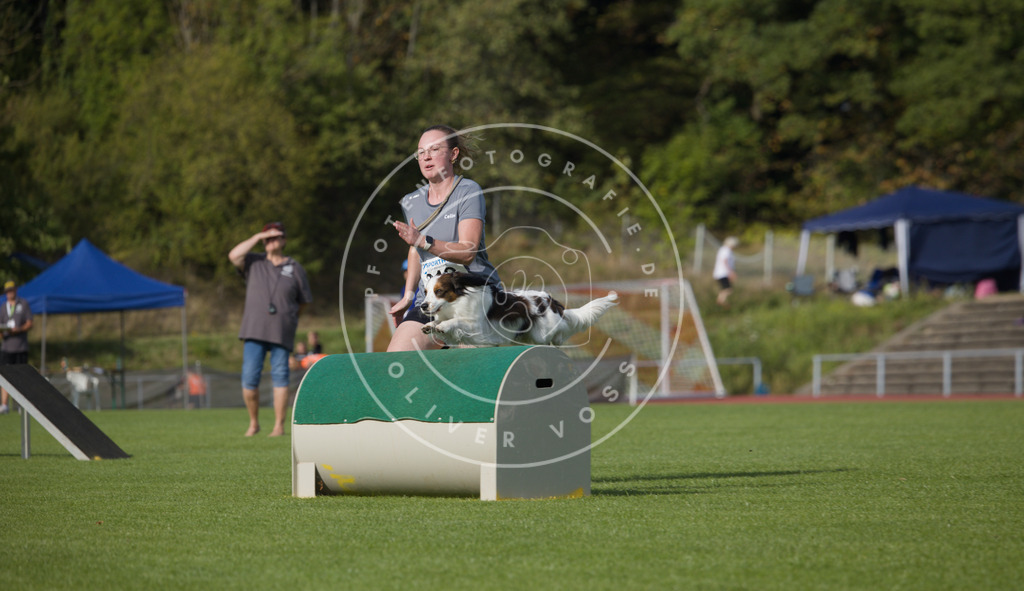 0L8A3814 | Hundefotografie, Tierfotograf, Pfotenfotografie, Fotoshooting Hund, Hunde Portrait, Hundesport, Hundeportraits, Heideshooting, Hunde, Sportfotograf, Hundefotograf, Turnierhundsport, THS,  - Realisiert mit Pictrs.com