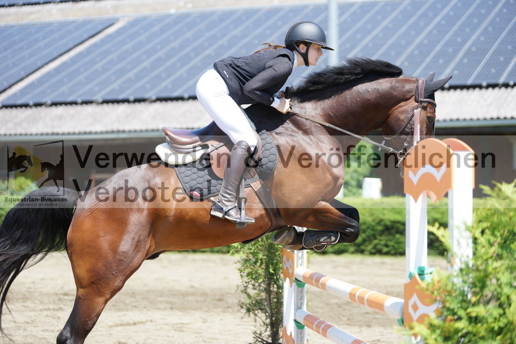DSC06172 | equestrian-live-com