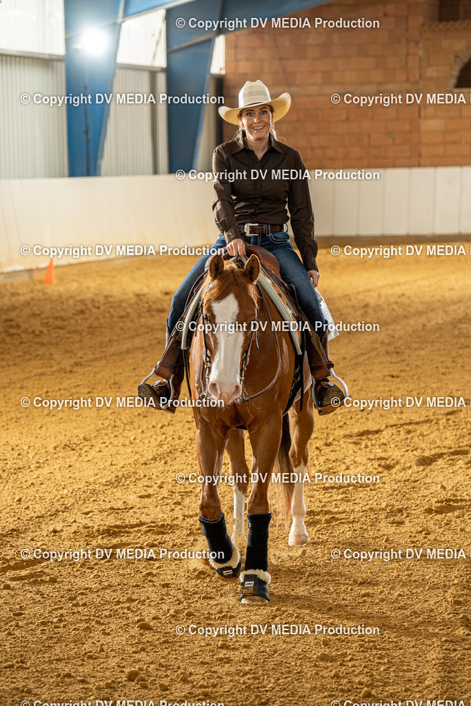 MIT00653 | dv-media-shop - Realisiert mit Pictrs.com