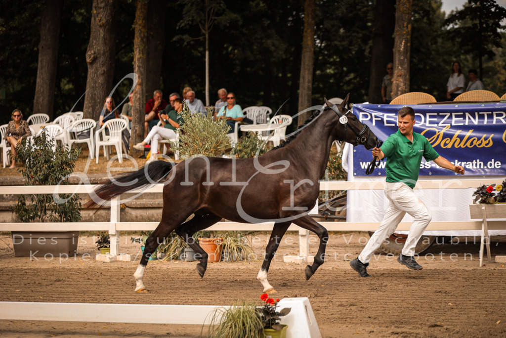 12.So00007 | Leoni Ertmer Photography - Realisiert mit Pictrs.com