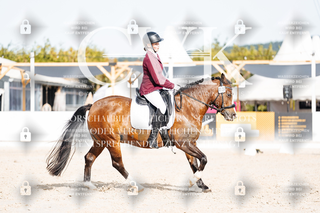 CK904926 | Turnierfotografie Pferdefotografie Trier Rheinland-Pfalz Pferdesport Reitsport Tierfotografie Sportfotografie Pferdevideo Pferdevideografie Equestrianvideography equestrianphotography  - Realisiert mit Pictrs.com