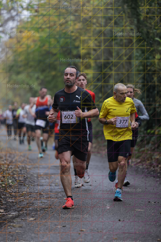 Neusser Erftlauf 2025  | Neusser Erftlauf 2025 Foto: Heldenfoto.de