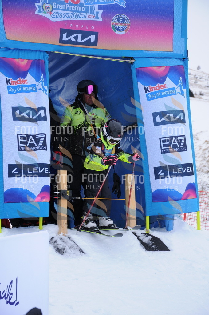 DSC_7598 | holidayphoto