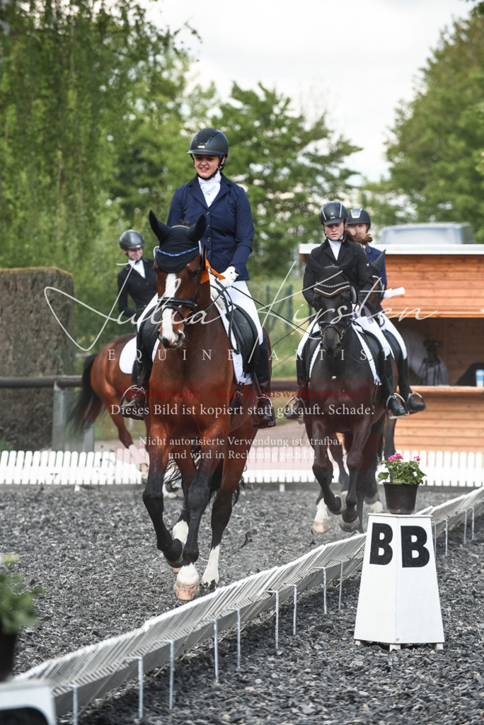 DSC_9089 | Pferde- und Turnierfotografie in Westsachsen. Pferdeportraits, Auftragszeichnungen und intuitive Kunst.