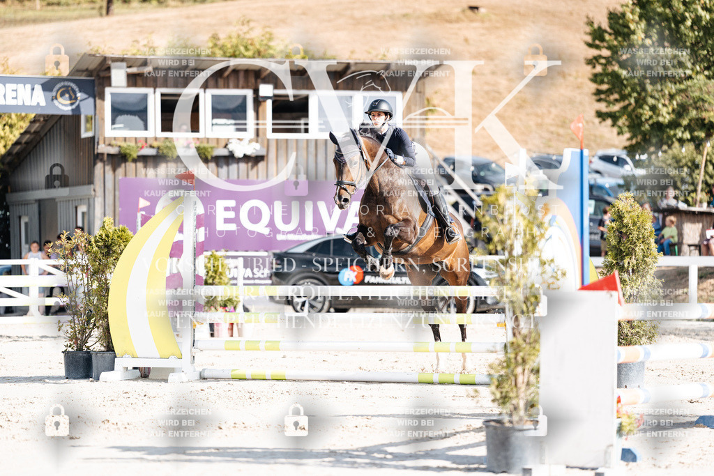 CK909194 | Turnierfotografie Pferdefotografie Trier Rheinland-Pfalz Pferdesport Reitsport Tierfotografie Sportfotografie Pferdevideo Pferdevideografie Equestrianvideography equestrianphotography  - Realisiert mit Pictrs.com