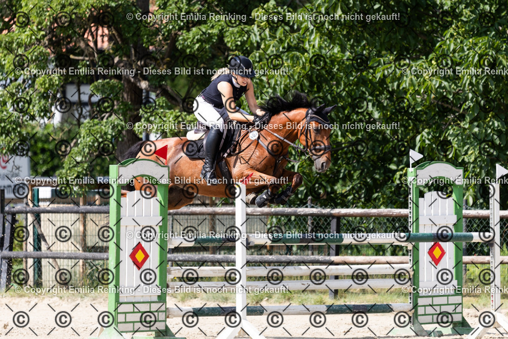 CL5A8501 | Emilia Reinking Fotografie - Realisiert mit Pictrs.com