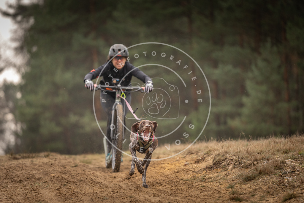 Pfotenfotografie_DV3A4657 | Hundefotografie, Tierfotograf, Pfotenfotografie, Fotoshooting Hund, Hunde Portrait, Hundesport, Hundeportraits, Heideshooting, Hunde, Sportfotograf, Hundefotograf, Turnierhundsport, THS,  - Realisiert mit Pictrs.com